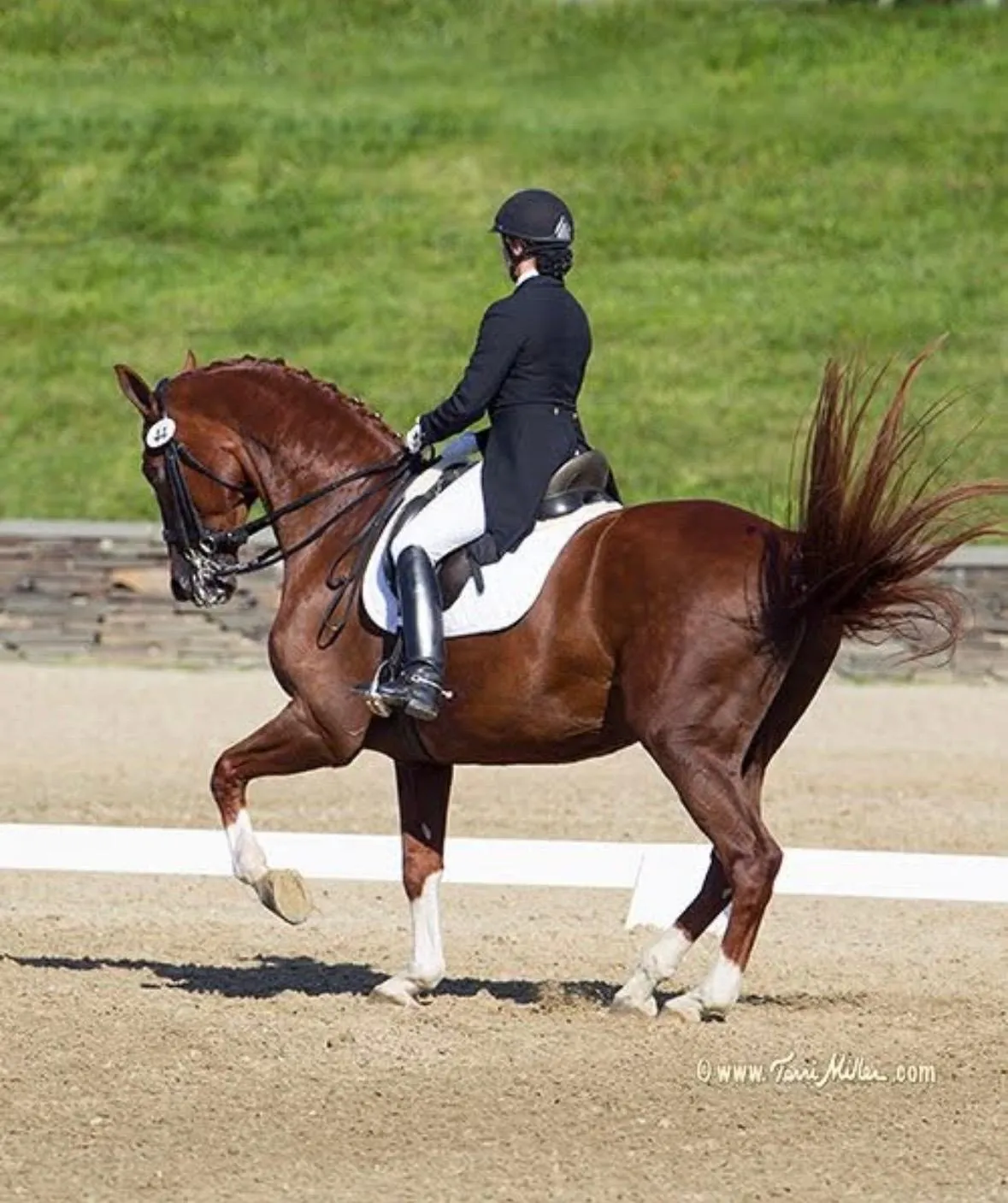 Mica Mabragaña riding a chestnut horse in an outdoor arena with a green hill behind