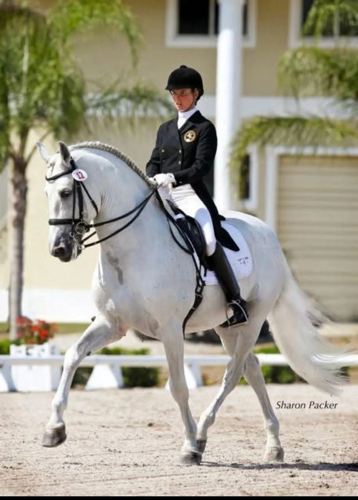 Mica Mabragaña riding a grey horse in a sand arena with palm trees behind