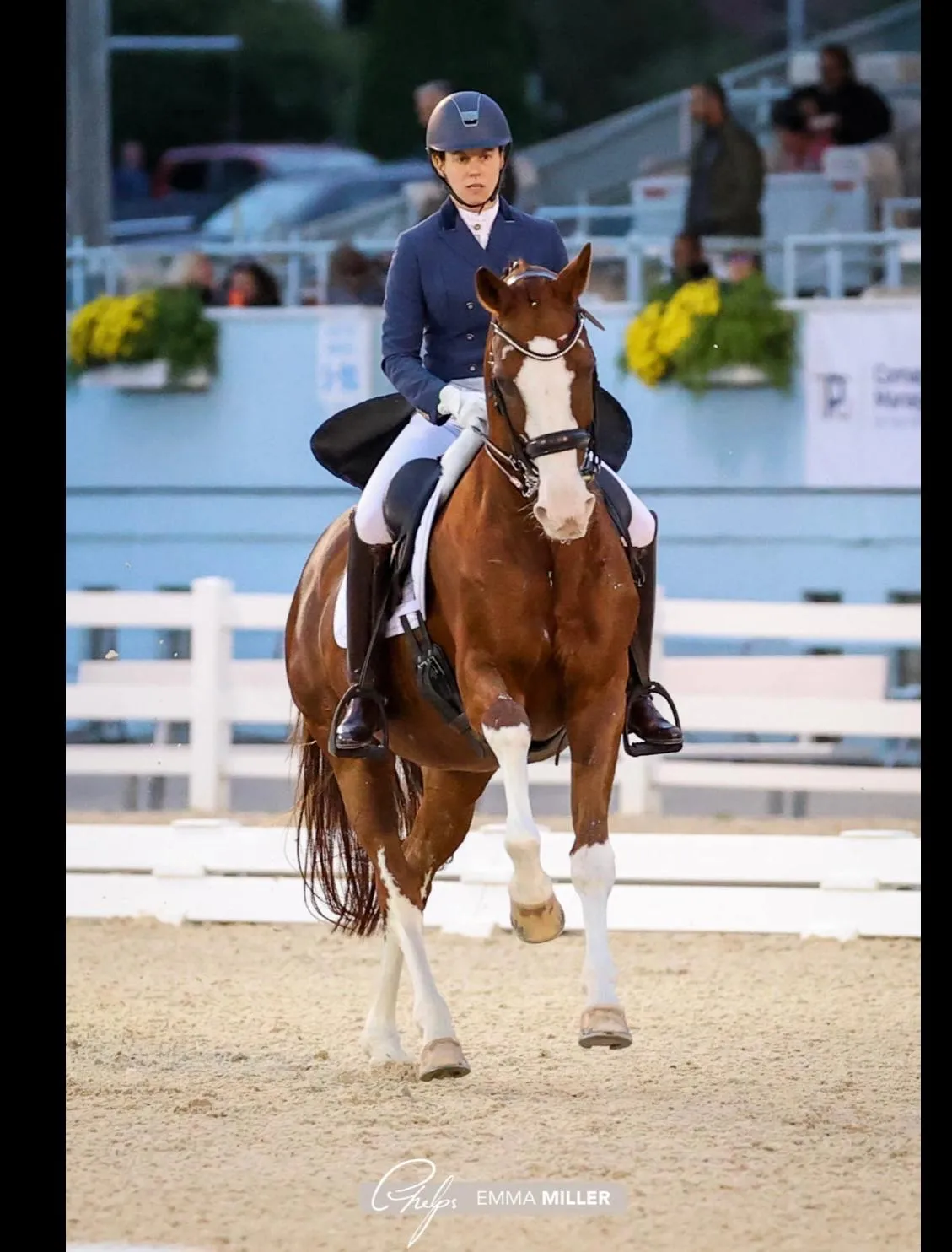 Mica Mabragaña riding a chestnut horse with a white blaze, wearing a blue jacket, in a sand arena